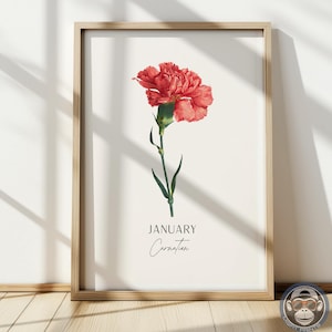 Carnation Flower Print: January Birth Month Botanical Art
