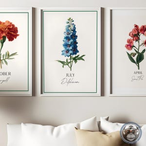 K&ouml;nnte beinhalten: Drei gerahmte botanische Kunstdrucke. Der mittlere Druck zeigt eine blaue Delphiniumblume mit dem Text "JULY Delphinium". Die anderen Drucke zeigen eine Ringelblume und eine S&uuml;&szlig;erbse. Jeder Druck hat einen wei&szlig;en Rand und einen gr&uuml;nen Innenrahmen.