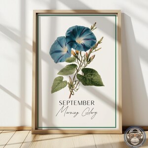 Könnte beinhalten: Ein gerahmter botanischer Druck mit zwei blauen Prunkwindenblüten mit grünen Blättern und Stängeln. Der Druck trägt die Aufschrift "SEPTEMBER Morning Glory" in eleganter Schrift. Der Rahmen ist hellbraun mit einem grünen Rand.