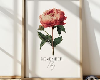 November Birth Flower Art Print – Peony Botanical Illustration Poster