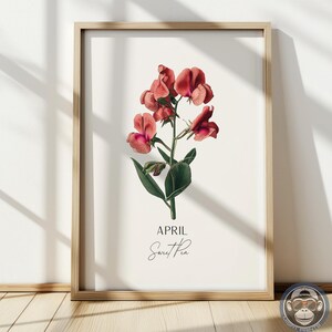 Könnte beinhalten: Ein gerahmter botanischer Druck mit einer detaillierten Illustration einer Sweet Pea-Blume. Das Kunstwerk zeigt rote und rosa Blüten mit grünen Blättern vor einem cremefarbenen Hintergrund. Der Text "April Sweet Pea" steht unter der Blume.