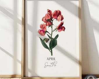 Sweet Pea Print: April Birth Flower Botanical Art