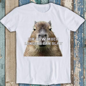 Idk How Much Longer I Can Slay Capybara Sarcastic Dank Meme Unisex  Design Mens Womens Gift Cool Music Fashion Top Retro Tee T Shirt T945