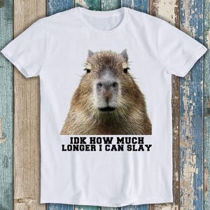 Idk How Much Longer I Can Slay Capybara Sarcastic Dan Meme Gift Tee T Shirt T1066