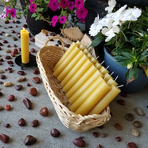 Bulk Beeswax Pillar Candles | 100 % Pure Beeswax | All Natural | Long Burning | Colonnade | 6-inch x 1.25-inch | 20 Pack | Hypo-Allergenic