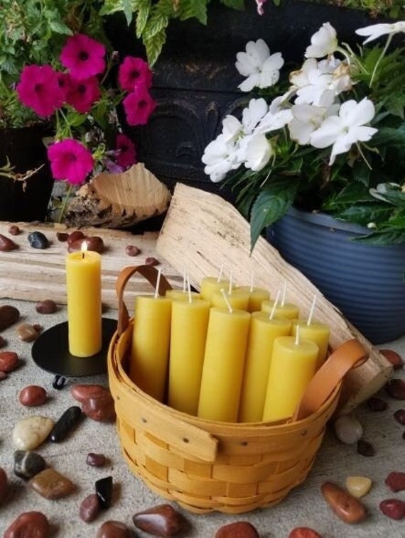 Bulk Beeswax Pillar Candles 100 % Pure Beeswax Organic Long Burning  Colonnade 4-inch X 1.25-inch 12 Pack Hypo-allergenic 