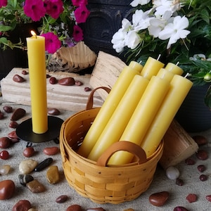 Bulk Beeswax Pillar Candles | 100 % Pure Beeswax | All Natural | Long Burning | Colonnade | 8-inch x 1.25-inch | 9 Pack | Hypo-Allergenic