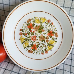 Puede incluir: Plato de cena de cerámica blanca con borde marrón y diseño floral en tonos naranja, amarillo y verde.