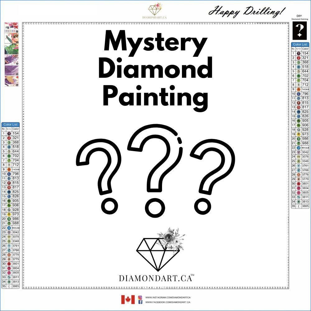  Bird Mystery Diamond Painting Kits 5D Diamond Art Kits