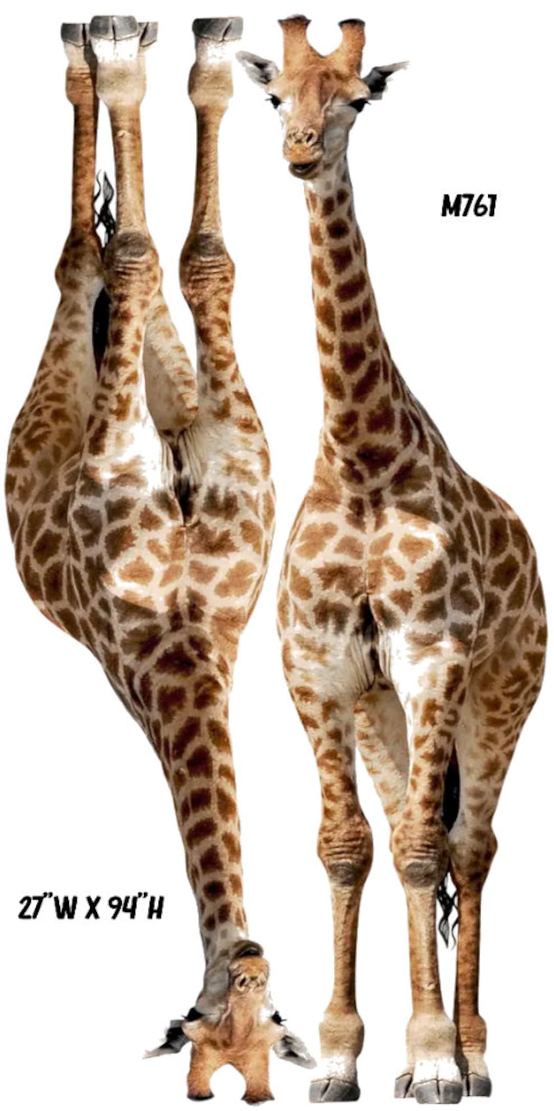 Giant Giraffes Over 7 1/2 Feet Tall Life Like Safari Yard Cards, Lawn