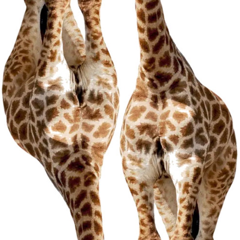 Large stuffed giraffe etsy