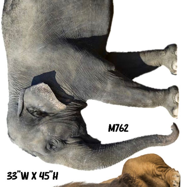 Giant Elephant and Lion,  Life like! Safari! Yard cards, Lawn signs, party props (M762 FS)
