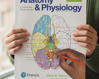 解剖学と生理学のカラーリングワークブック Marieb 学習ガイド PDF コピー