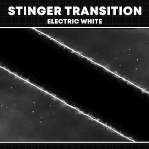 Animated Stream Transition | Electric Black and White Neon Twitch Transition | Scene Transition Overlay | OBS Stinger Transition