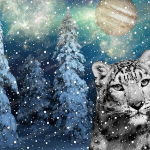12.25&quot; x 6.25: License Plate Digital Files for Sublimation Snow Leopard Galaxy Planets Northern Lights Aurora Borealis