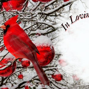 May include: A red cardinal bird perched on a snowy branch with red ornaments. The background is a snowy winter scene with the text "In Loving Memory".
