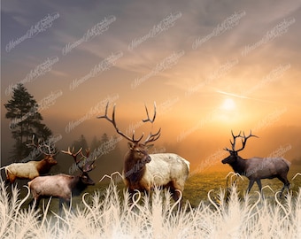 20 oz Straight Digital Files for Sublimation Elk Wildlife Sunrise Nature