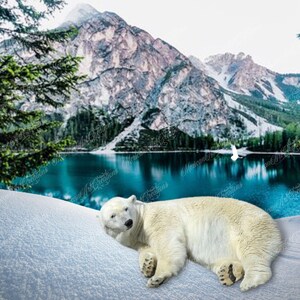 20 oz Straight Digital Files for Sublimation Polar Bear Winter Landscape Scenery