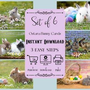 Ostara Bunny Greeting Cards - Set of 6 - 5x7 - printable - instant download - pdf