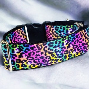 Handmade martingale collars, 1.5" wide. rainbow leopard design.