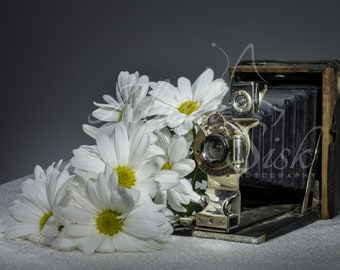 Daisy Photograph, Vintage Camera Printable, Flower Wall Art Digital Print, Decorative Still Life Image