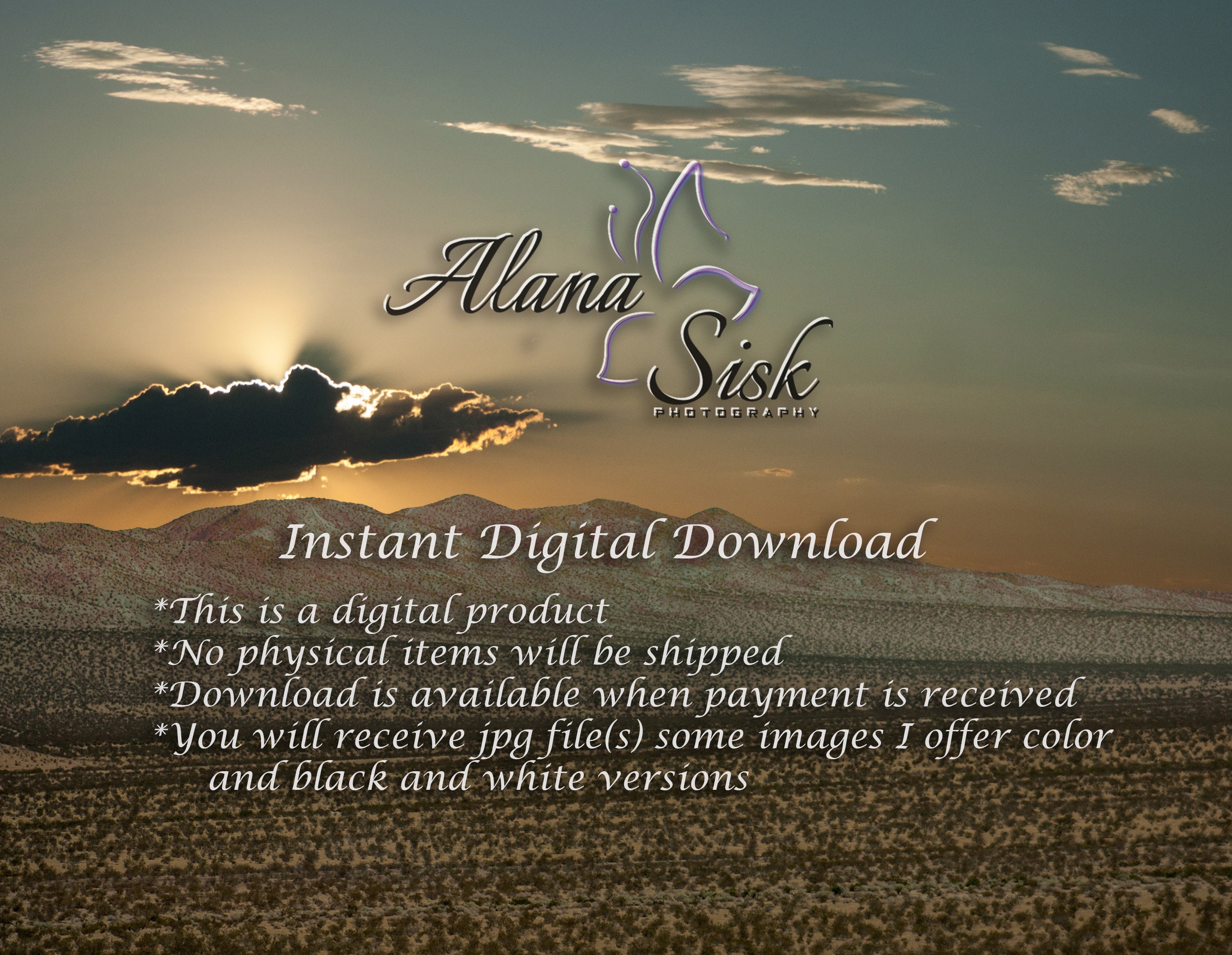 Monarch Photography Monarch Butterfly Photography Orange Etsy