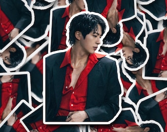 Adesivo Jin Arirang 2.0 / Kim Seokjin / Adesivi Jin / Decalcomania in vinile per laptop, bicchiere, telefono