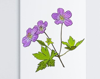 Geranium Wildflower Card | Purple Flower Card