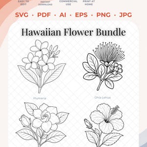 May include: A digital download bundle featuring black and white line art illustrations of four Hawaiian flowers: Plumeria, Ohia Lehua, Gardenia, and Hibiscus. The graphic includes the text Hawaiian Flower Bundle and file formats SVG, PDF, AI, EPS, PNG, JPG.