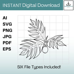 May include: A black and white line drawing of a tropical plant with large leaves and a small fruit. The image is on a white background with a grid pattern.