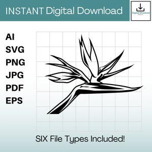 Paradijsvogel Clipart Instant Download ai / svg / png / jpg / pdf / eps Hawaii svg, Hawaiiaanse svg. Vector-, knip- of graveerbestanden