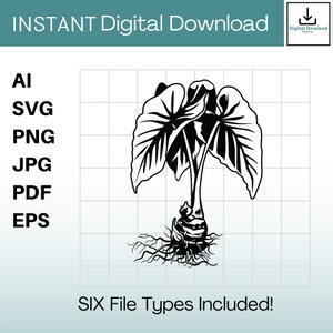 Kalo Plant Clipart Instant Download ai / svg / png / jpg / pdf / eps Hawaii svg, Hawaiian svg. Vector, Cut or Engrave Files.