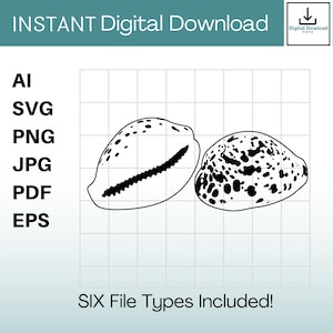 Cowrie Shell Clipart Instant Download ai / svg / png / jpg / pdf / eps Hawaii svg, Hawaiian svg. Vector, Cut or Engrave Files.