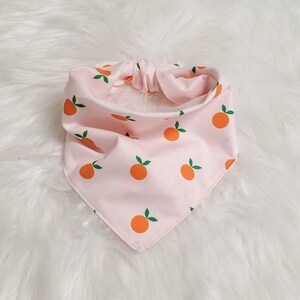 Fruit Dog Bandana , Clementine Pet Bandana