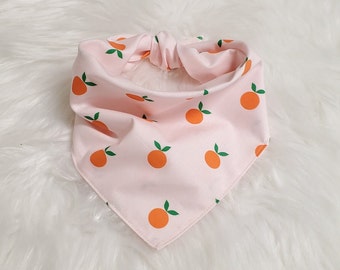 Fruit Dog Bandana , Clementine Pet Bandana