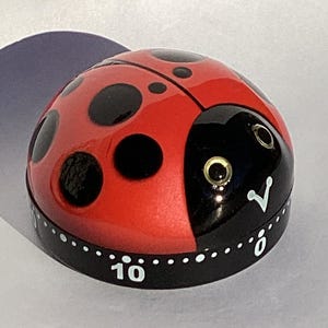 Ladybug Kitchen Timer Glossy and Detailed