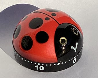 Ladybug Kitchen Timer Glossy and Detailed
