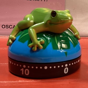 Frog Kitchen Timer Glossy and Detailed