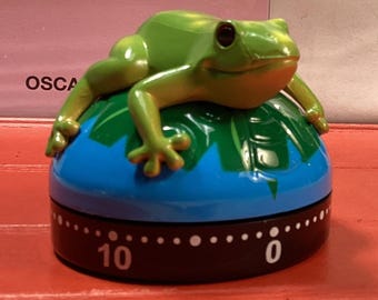 Frog Kitchen Timer Glossy and Detailed