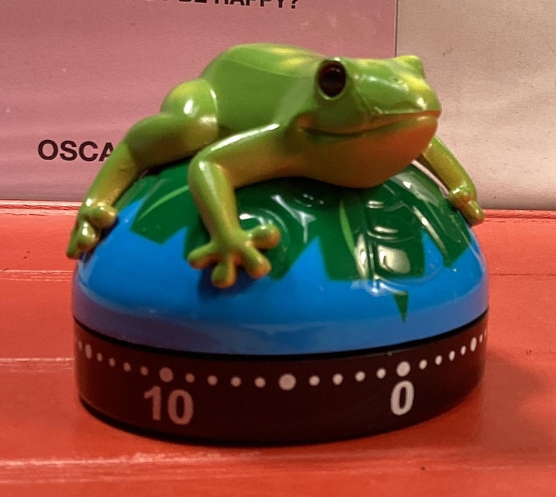 Frog Kitchen Timer Glossy and Detailed - Etsy