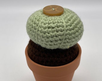 Crochet "Baseball Plant" Cactus/Succulent