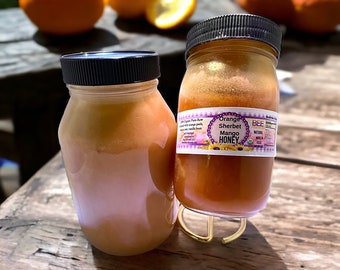 Orange Sherbet Mango Honey - Seasonal Immune Booster