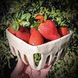 Handmade Speckled Berry Colander Carton