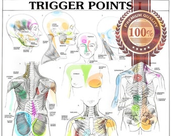 Trigger Points Part 1 Single Premium Waterproof Tear Proof Poster anatomical diagram chart guide wall diagram Art Print