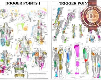 Points de déclenchement - Affiche unique - Guide du diagramme anatomique indéchirable de qualité supérieure, impression d'art mural