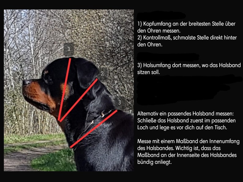 EM Keramik Zeckweg-Halsband, personalisierbar und individuell, Hund, Paracord, verstellbar Bild 10