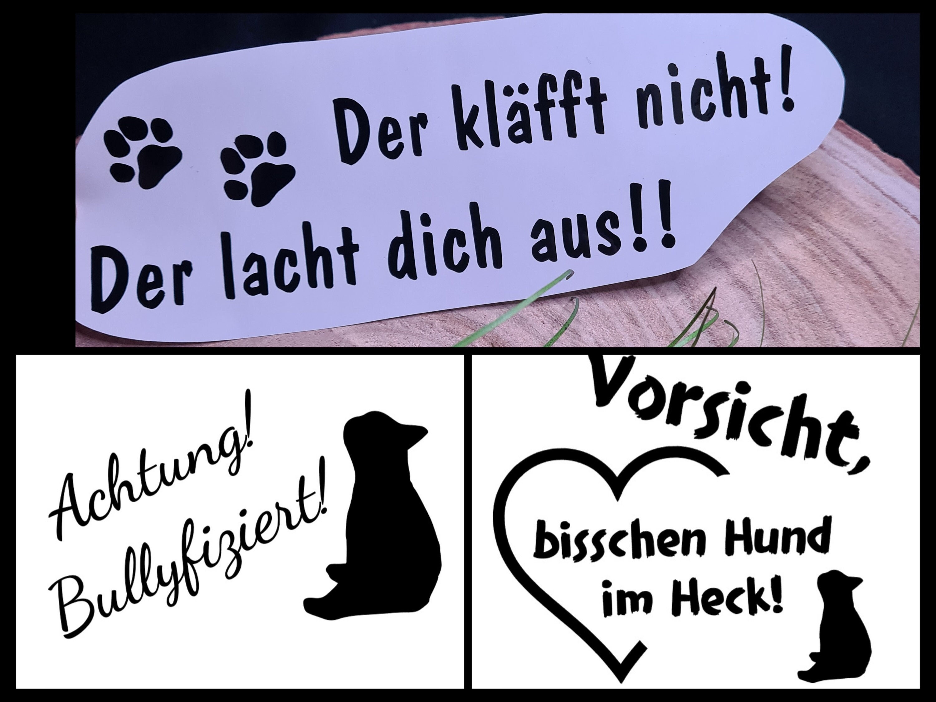 Various car stickers, dog, stickers, decals, car, funny