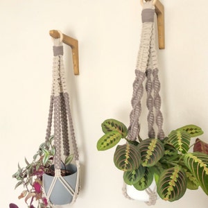 May include: Two macrame plant hangers with gray and white rope, hanging from gold metal brackets on a white wall. One hanger has a green plant with red and green leaves, and the other has a green plant with purple and green leaves.