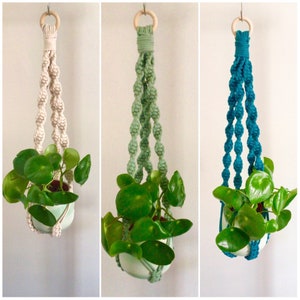 May include: Three macrame plant hangers with a round wooden ring at the top. The hangers are made with thick cotton rope and are in three different colours: natural, green, and teal. Each hanger is holding a small potted plant with green leaves.