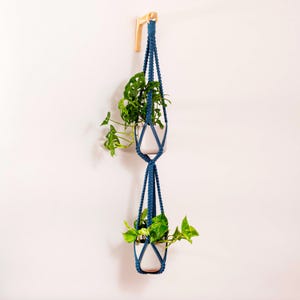 May include: Two potted plants hanging from a blue macrame plant hanger. The hanger is attached to a wooden hook on a white wall.